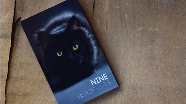 Nine Black Cats by Neemdog and Lorenzo - Click Image to Close