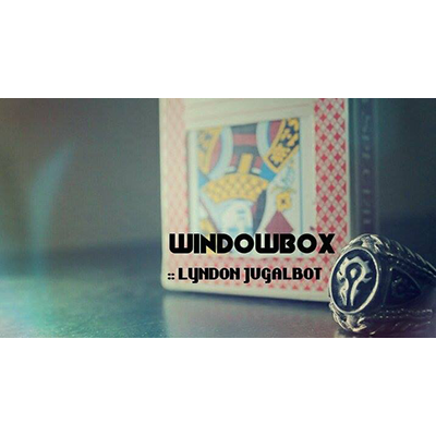 Lyndon Jugalbot - Windowbox - Click Image to Close