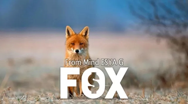 FOX by Esya G - Click Image to Close