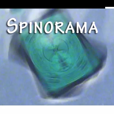 Spinorama by William Lee video (Download) - Click Image to Close