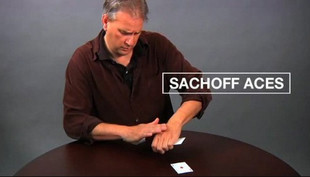 David Williamson - Sachoff Aces - Click Image to Close