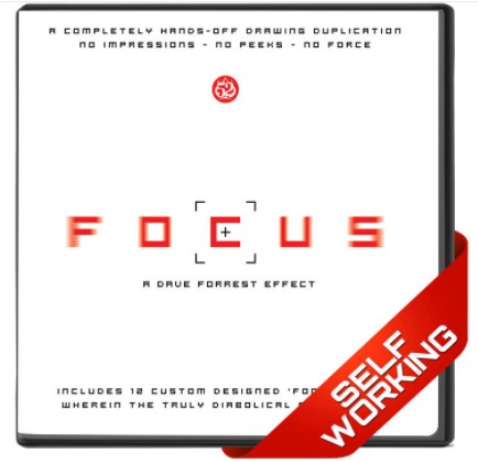 Focus by Dave Forrest - Click Image to Close