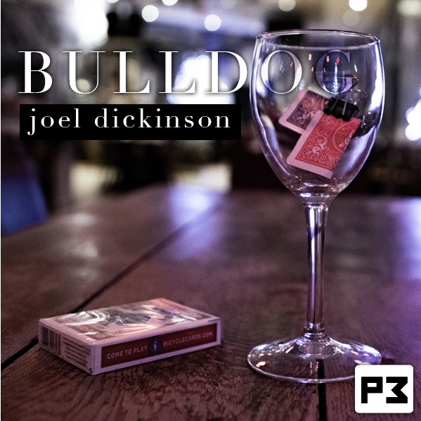 Bulldog by Joel Dickinson - Click Image to Close