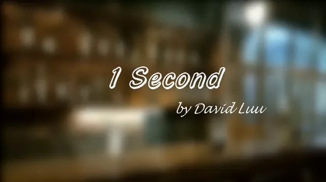 One Second by David Luu Video (Download) - Click Image to Close
