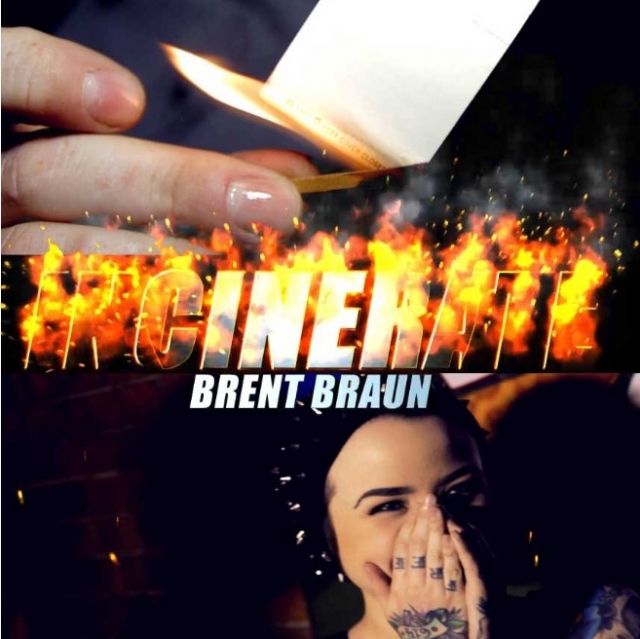 Incinerate by Brent Braun