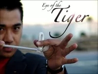 Eye of the Tiger - Click Image to Close