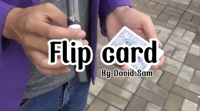 Flip Card by David Sam - Click Image to Close