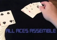 All Aces Assemble by Steve Reynolds - Click Image to Close