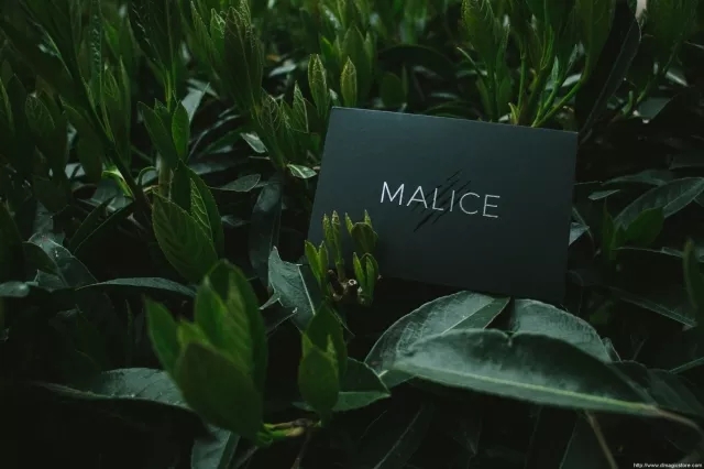 Malice by Eric Jones and Lost Art Magic - Click Image to Close