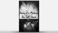 Diary of a Madman by Jeff Stone - Book - Click Image to Close