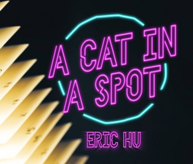 A Cat in a Spot by Eric Hu - Click Image to Close