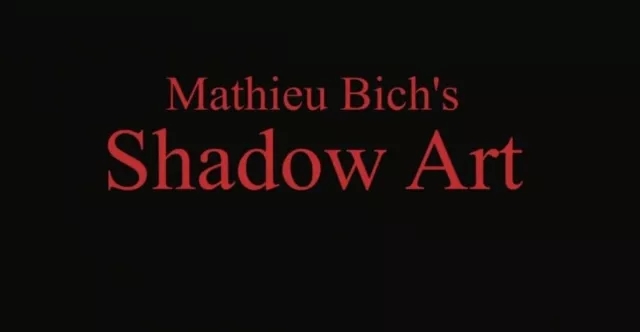 Mathieu Bich Shadow Art - Click Image to Close