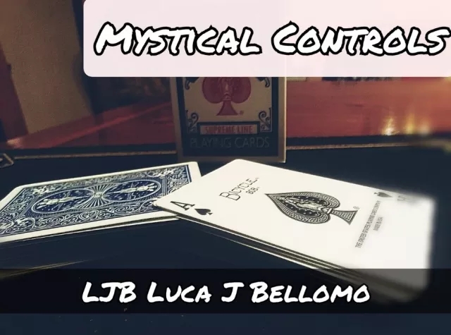 NEW CONTROLS PROJECT - Mystical Controls By LJB - Click Image to Close