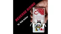 Mario Tarasini presents: Reverse Rising by Ihab Asfour - Click Image to Close