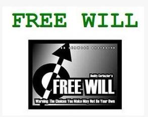 Paolo Cavalli & Greg Arce - Free Will - Click Image to Close