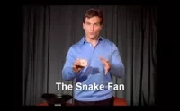 Snake Fan by Tony Clark - Click Image to Close
