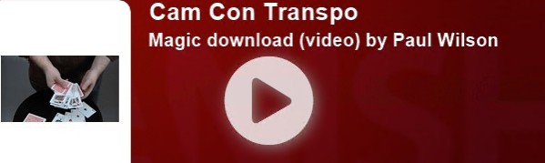 Cam Con Transpo by Paul Wilson - Click Image to Close