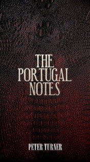 Peter Turner - Portugal Notes - Click Image to Close