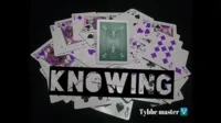 Knowing by Tybbe Master