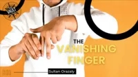 The Vault - The Finger Vanish by Sultan Orazaly - Click Image to Close