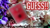 GUESS by Stefanus Alexander - Click Image to Close