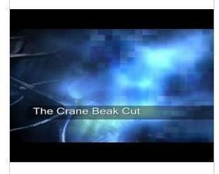 Owen Packard - The Crane Beak Cut - Click Image to Close