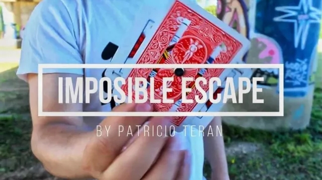 IMPOSSIBLE ESCAPE BY PATRICIO TERAN - Click Image to Close