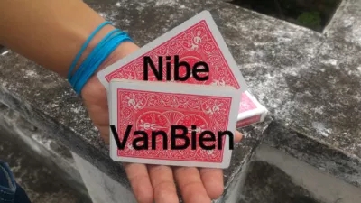 Nibe by VanBien video (Download) - Click Image to Close