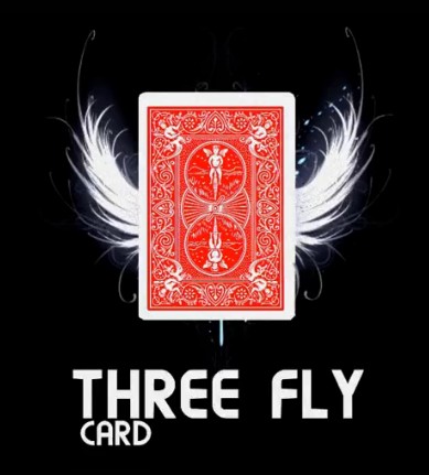 Three Fly Card by Mickael Chatelain - Click Image to Close