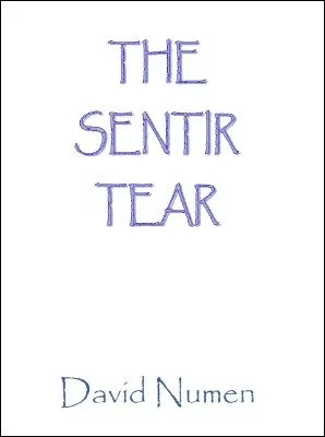 The Sentir Tear by David Numen - Click Image to Close