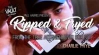 The Vault - Ripped and Fryed by Charlie Frye - Click Image to Close