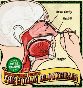 Human Blockhead - Nail in Nose - Click Image to Close