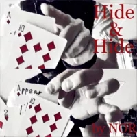 Hide & Hide by NOR - Click Image to Close