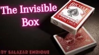 The Invisible Box by Salazar Enrique - Click Image to Close