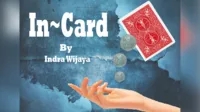 In Card by Indra Wijaya - Click Image to Close