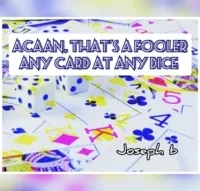ACAAN, That's a FOOLER (Any Card At Any Dice) by Joseph B - Click Image to Close