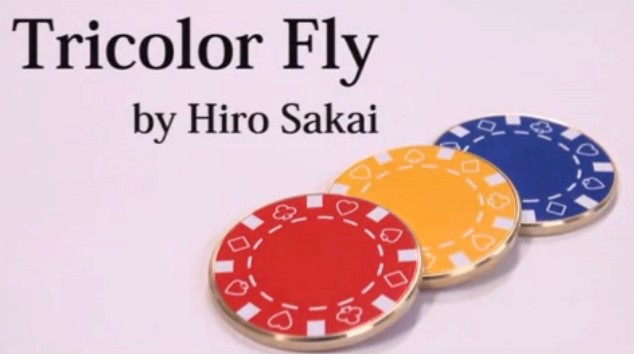 Tricolor Fly by Hiro Sakai - Click Image to Close