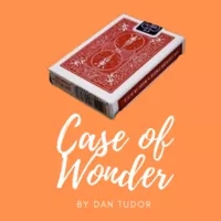 Case of Wonder by Dan Tudor - Click Image to Close