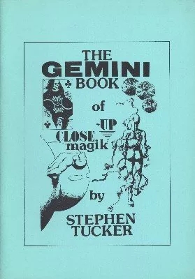 The Gemini Book by Stephen Tucker - Click Image to Close