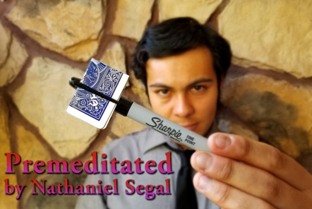 Premeditated by Nathaniel Segal (Instant Download) - Click Image to Close