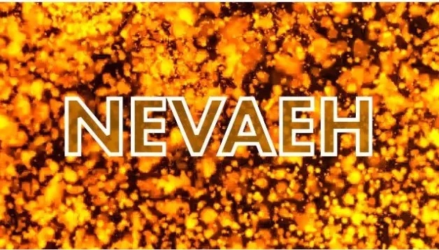 Lance Bowen – The Nevaeh Principle By Lance Bowen - Click Image to Close