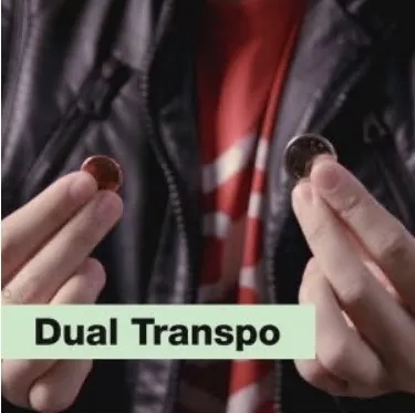 Dual Transpo by SansMinds - Click Image to Close