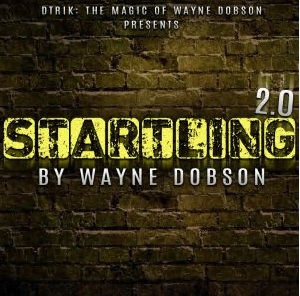 Startling 2.0 by Wayne Dobson - Click Image to Close