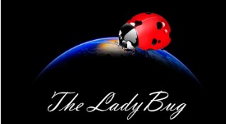 The Ladybug by Hugo Valenzuela - Click Image to Close