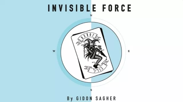 Invisible Force by Gidon Sagher - Click Image to Close
