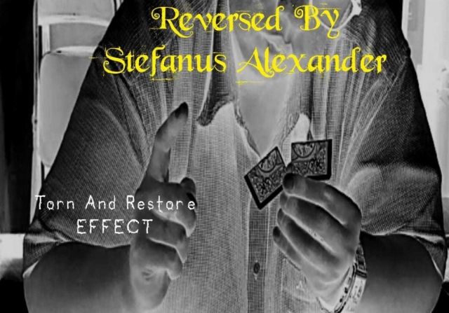REVERSED By STEFANUS ALEXANDER - Click Image to Close