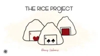 The Vault - The Rice Project by Danny Urbanus - Click Image to Close