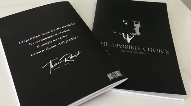 The Invisible Choice by Thomas Riboulet (highly recommend) - Click Image to Close