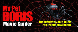The Scariest App Magic Spider for Android - Click Image to Close