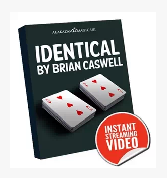 Brian Caswell - Identical - Click Image to Close